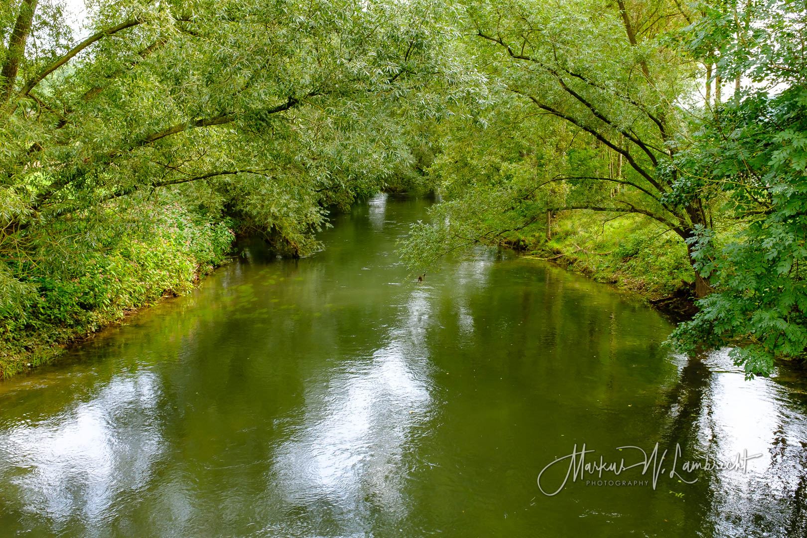 Diemel bei Dalheim/Warburg